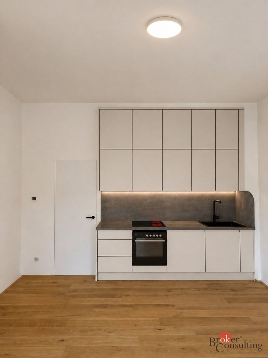 Pronájem bytu 1+kk 47 m²